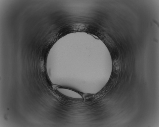 X0000097510564200803201618