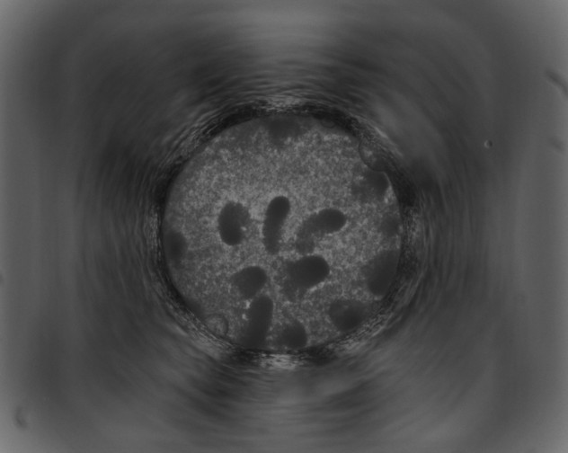 X0000097510565200803201618