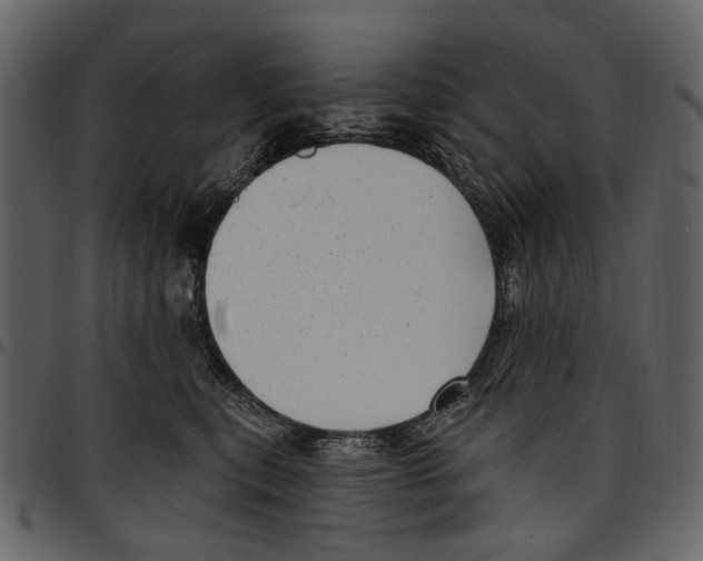X0000097510567200803201618