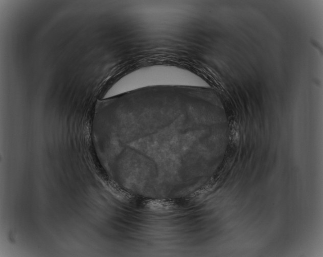 X0000097510568200803201618