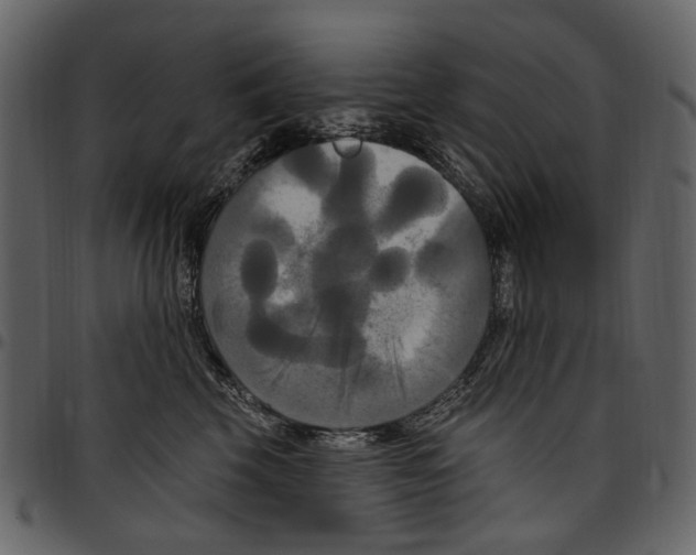 X0000097510569200803201618