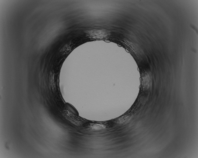X0000097510572200803201618