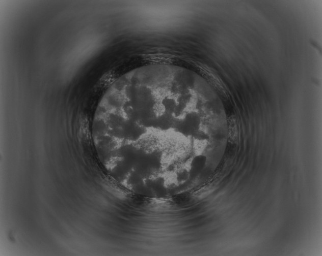 X0000097510573200803201618