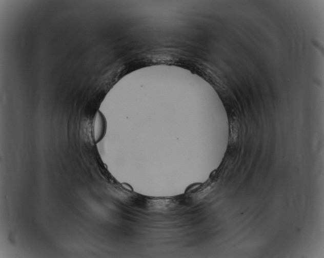 X0000097510575200803201618