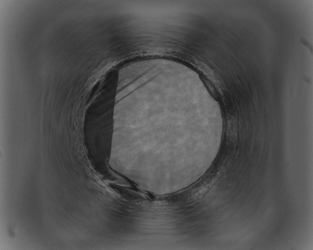 X0000097510577200803201617