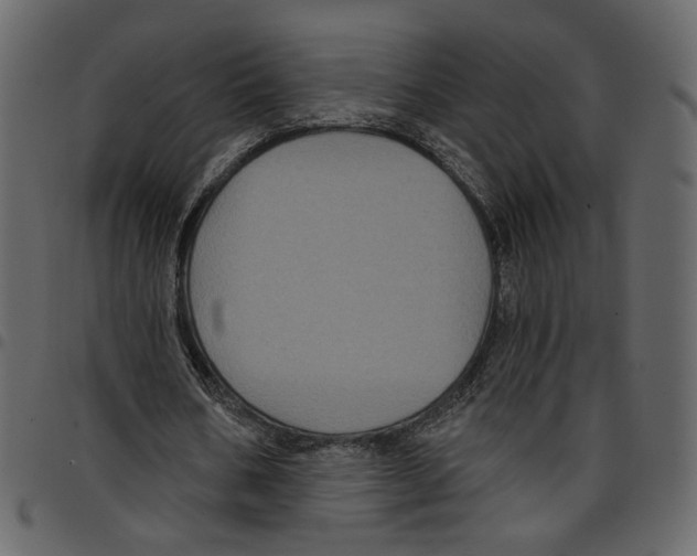 X0000097510578200803201617