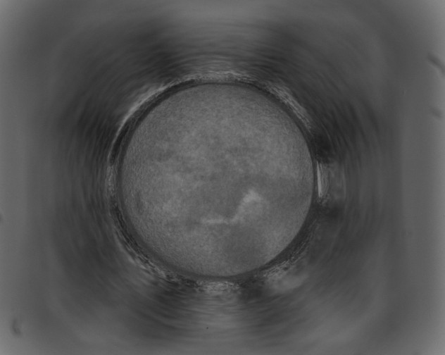 X0000097510579200803201617