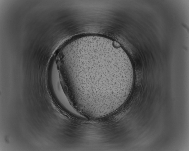 X0000097510580200803201617