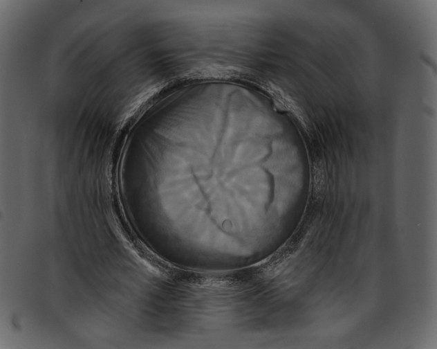 X0000097510581200803201617