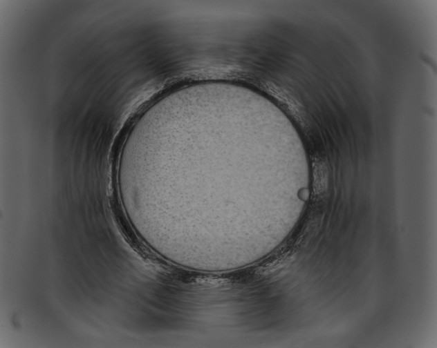 X0000097510582200803201617