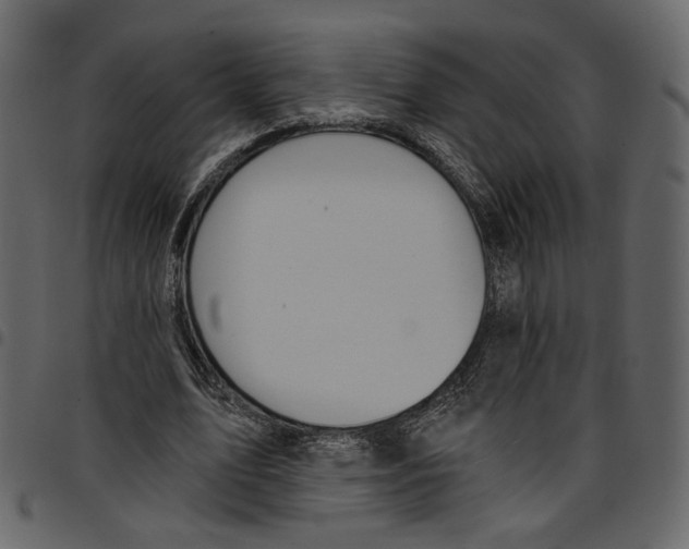 X0000097510583200803201617