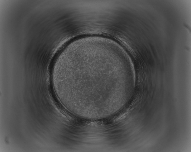 X0000097510584200803201617