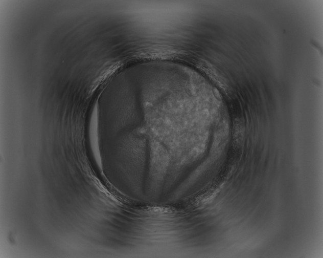 X0000097510585200803201617