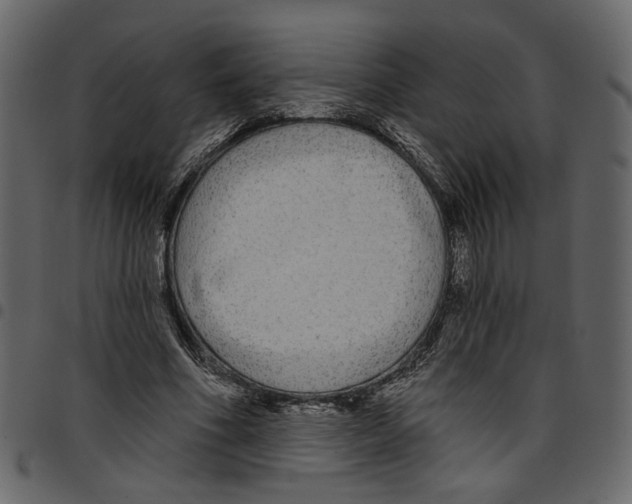 X0000097510586200803201617