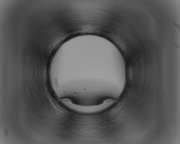 X0000097510588200803201617