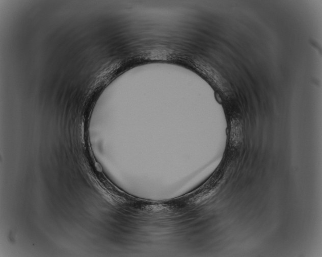 X0000097510589200803201617