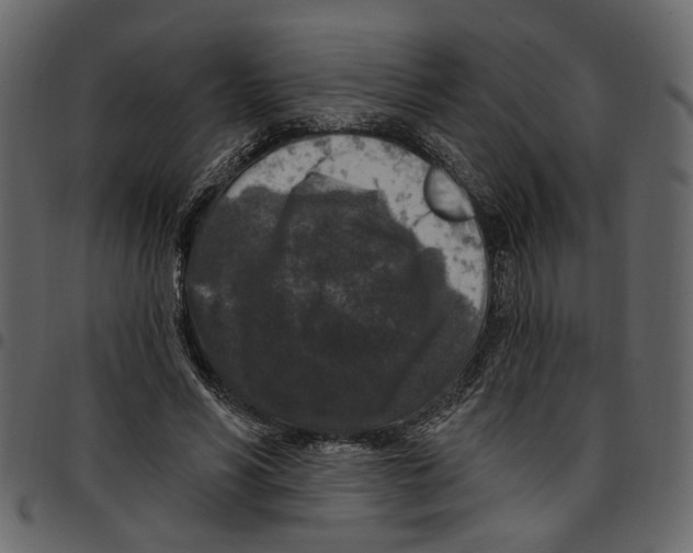 X0000097510590200803201617