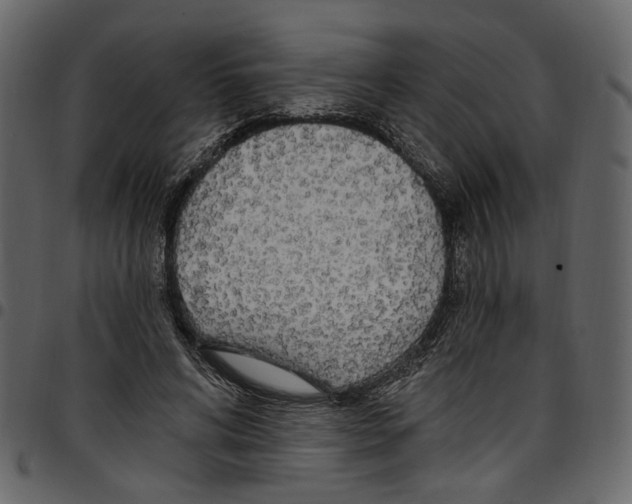 X0000097510592200803201617