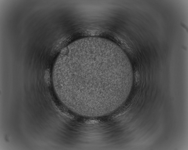X0000097510594200803201617