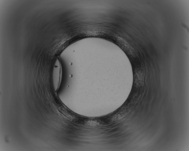 X0000097510596200803201617