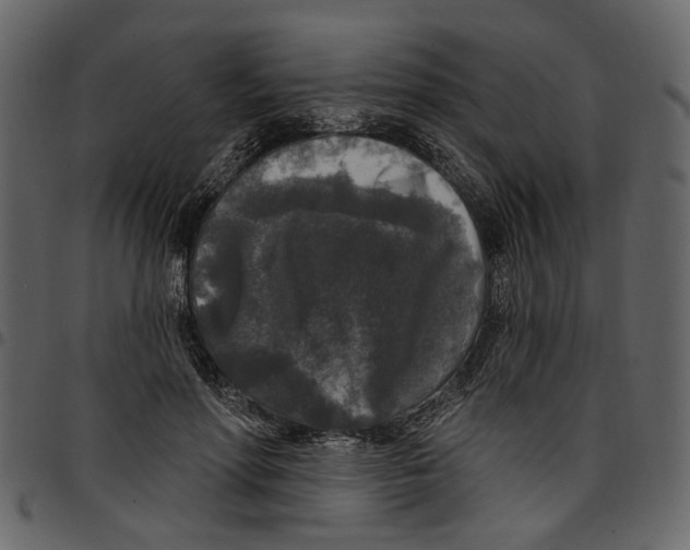 X0000097510598200803201617