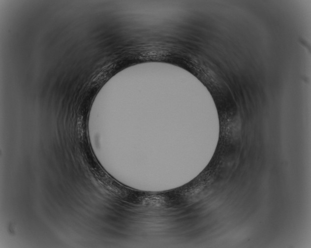 X0000097510599200803201617