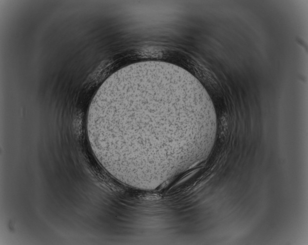 X0000097510600200803201617