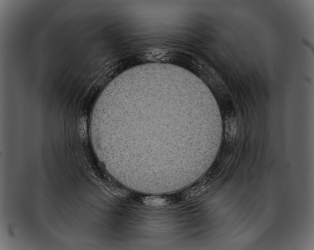 X0000097510602200803201617