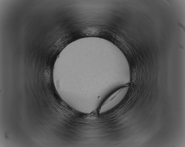 X0000097510604200803201617