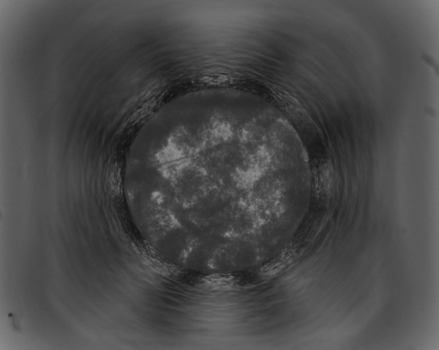 X0000097510606200803201617
