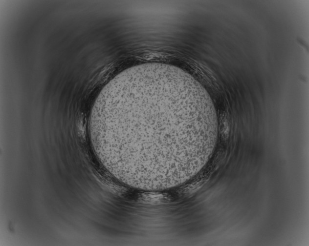X0000097510607200803201617