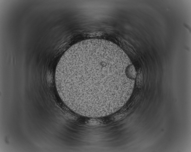 X0000097510608200803201617
