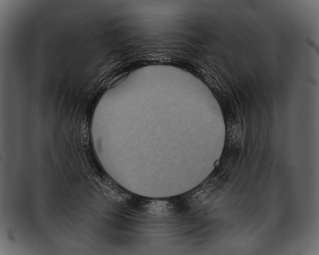 X0000097510609200803201617