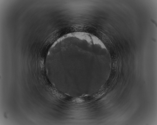 X0000097510610200803201617