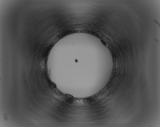 X0000097510611200803201617