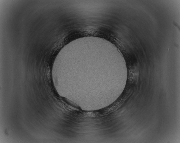 X0000097510613200803201617