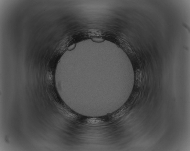 X0000097510614200803201617