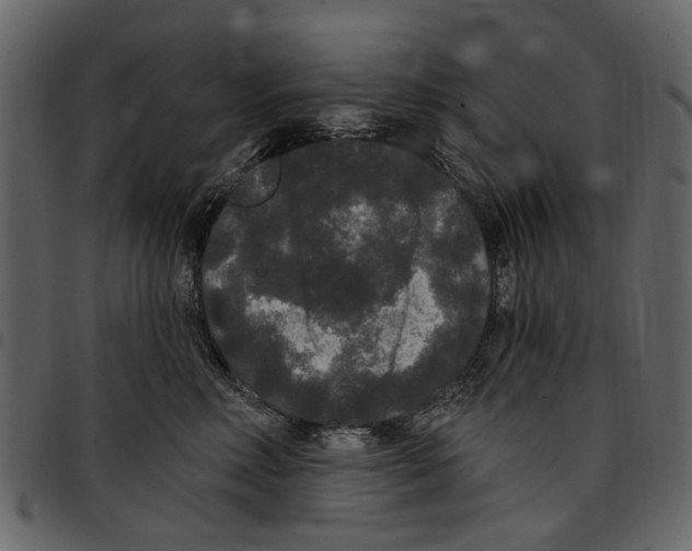 X0000097510618200803201617