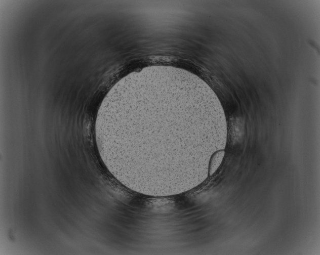 X0000097510619200803201617