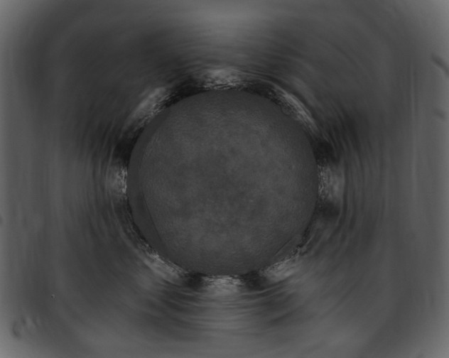 X0000097510621200803201617