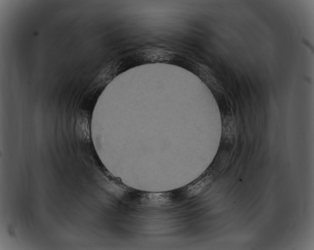 X0000097510622200803201617