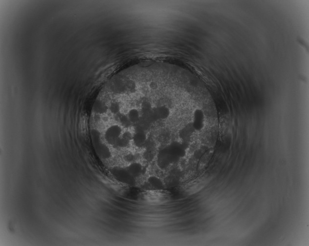 X0000097510623200803201617