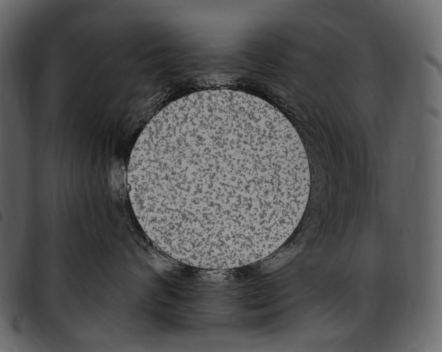 X0000097510624200803201617