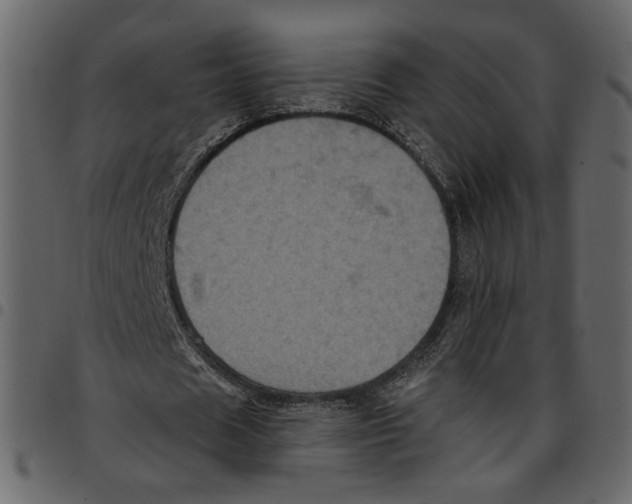 X0000097510625200803201616