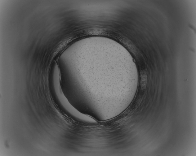 X0000097510626200803201616