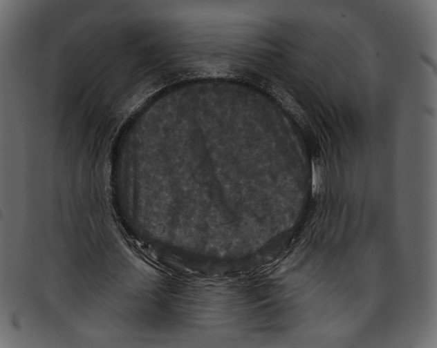 X0000097510627200803201616