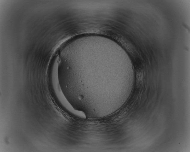 X0000097510628200803201616