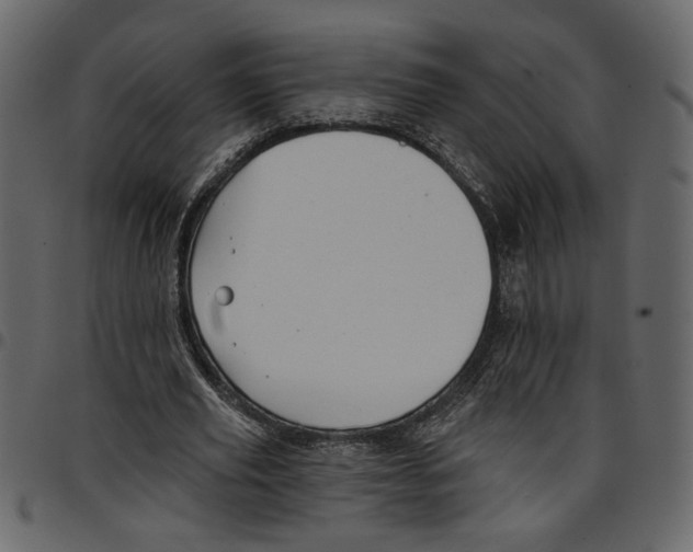 X0000097510629200803201616