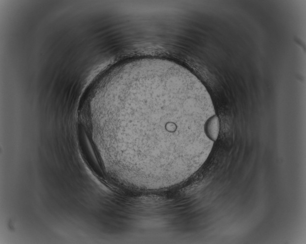 X0000097510630200803201616