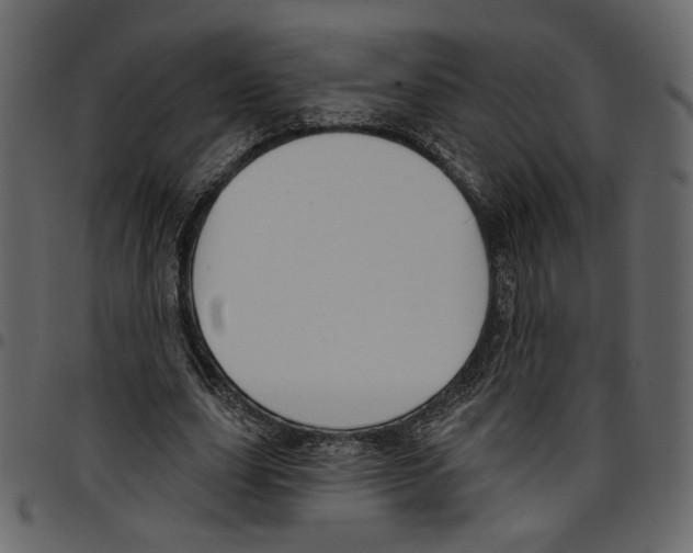 X0000097510631200803201616